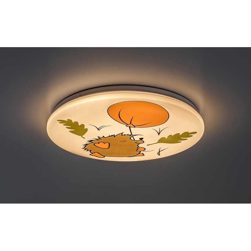 Rabalux - Vaikiškas LED lubinis šviestuvas LED/24W/230V 3000K