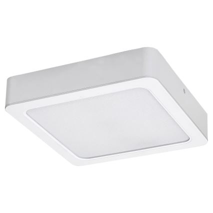 Rabalux - LED lubinis šviestuvas LED/24W/230V 4000K 22x22 cm balta