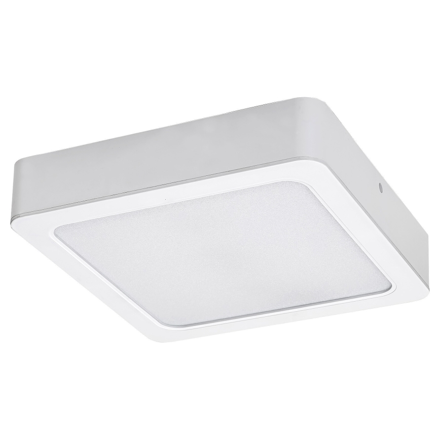 Rabalux - LED lubinis šviestuvas LED/24W/230V 4000K 22x22 cm balta