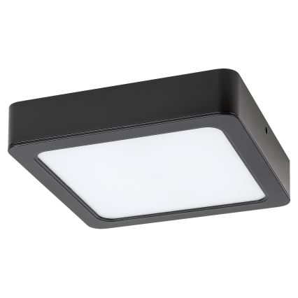 Rabalux - LED lubinis šviestuvas LED/24W/230V 4000K 22x22 cm juoda