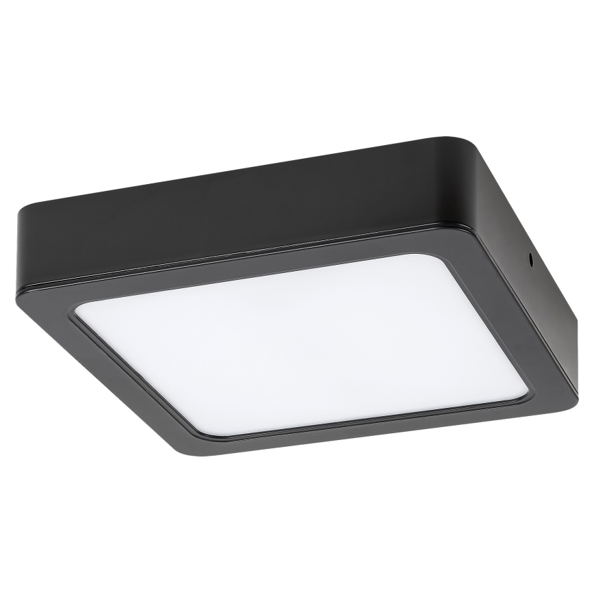 Rabalux - LED lubinis šviestuvas LED/24W/230V 4000K 22x22 cm juoda