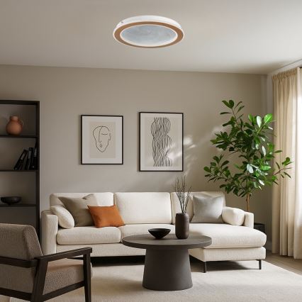 Rabalux - dimeriuojamas LED lubinis šviestuvas LED/24W/230V 3000-6500K skersmuo 40 cm + su nuotoliniu valdymu