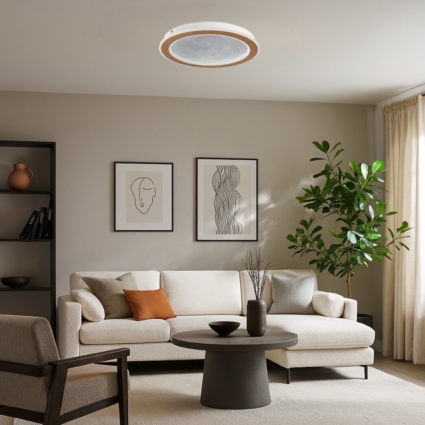 Rabalux - dimeriuojamas LED lubinis šviestuvas LED/24W/230V 3000-6500K skersmuo 40 cm + su nuotoliniu valdymu