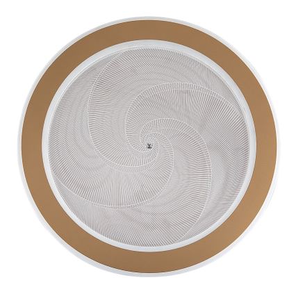 Rabalux - dimeriuojamas LED lubinis šviestuvas LED/24W/230V 3000-6500K skersmuo 40 cm + su nuotoliniu valdymu