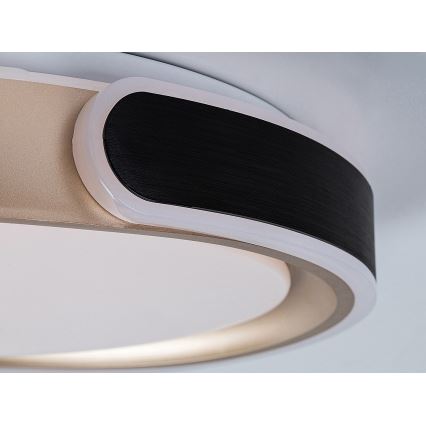 Rabalux - LED Pritemdomas lubinis šviestuvas LED/48W/230V 3000-6500K + nuotolinio valdymo pultas