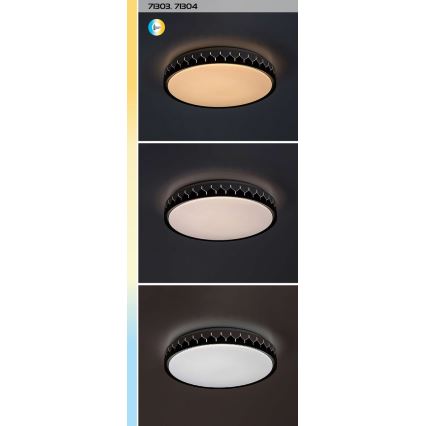 Rabalux - LED Pritemdomas lubinis šviestuvas LED/48W/230V 3000-6500K + nuotolinio valdymo pultas