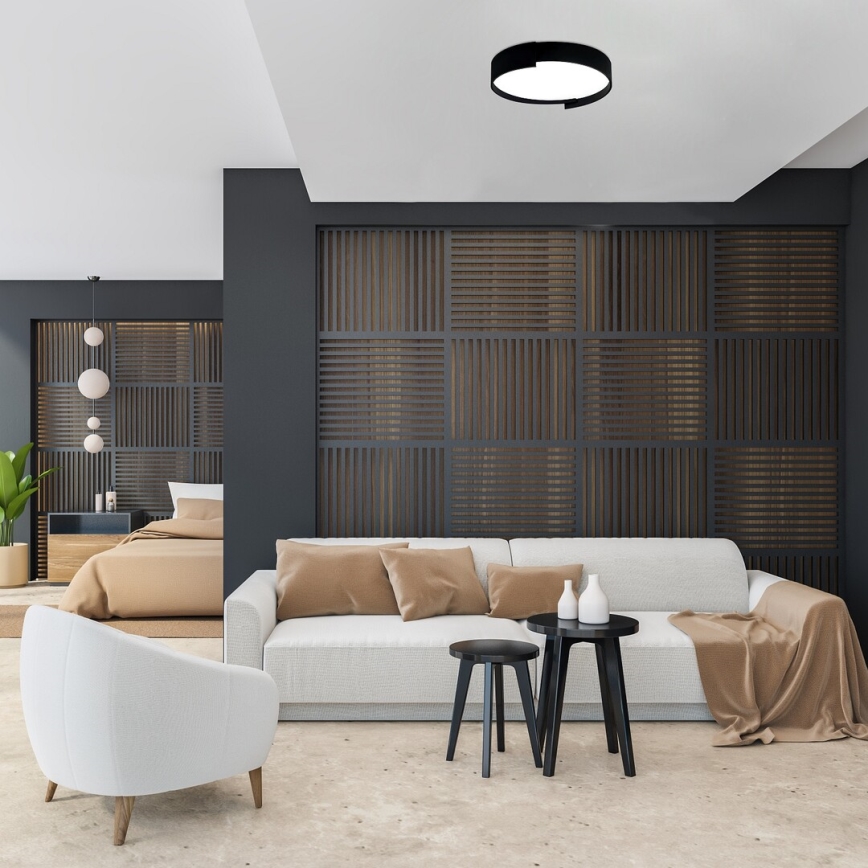 Rabalux - LED Pritemdomas lubinis šviestuvas LED/24W/230V 3000-6500K + nuotolinio valdymo pultas