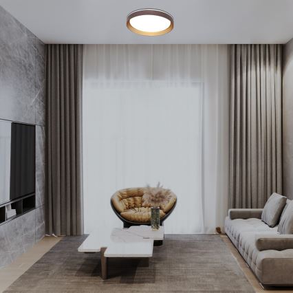 Rabalux - LED Pritemdomas lubinis šviestuvas LED/48W/230V 3000-6500K + nuotolinio valdymo pultas