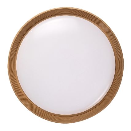 Rabalux - LED Pritemdomas lubinis šviestuvas LED/48W/230V 3000-6500K + nuotolinio valdymo pultas
