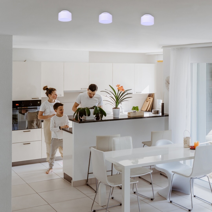 Rabalux - LED lubinis šviestuvas LED/24W/230V 3000K baltas skersmuo 14 cm