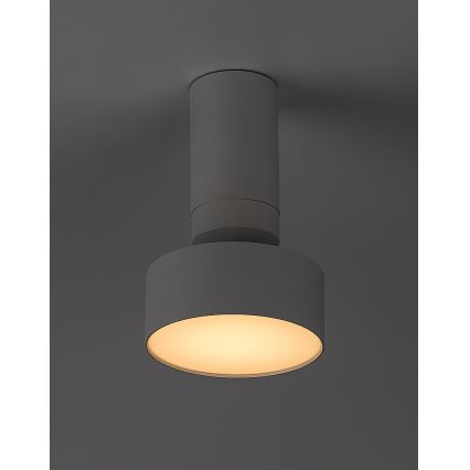 Rabalux - LED lubinis šviestuvas LED/10W/230V 3000K balta