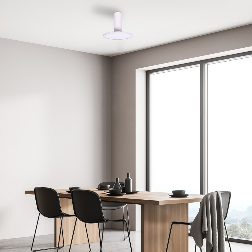 Rabalux - LED lubinis šviestuvas LED/20W/230V 3000K balta