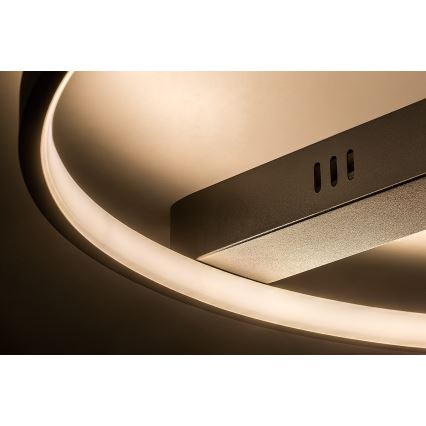Rabalux - LED lubų šviestuvas LED/45W/230V 3000K 50x55 cm juodas