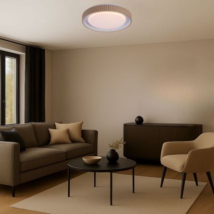 Rabalux - reguliuojamas LED lubinis šviestuvas LED/48W/230V 3000-6500K skersmuo 49,5 cm + nuotolinis valdymas