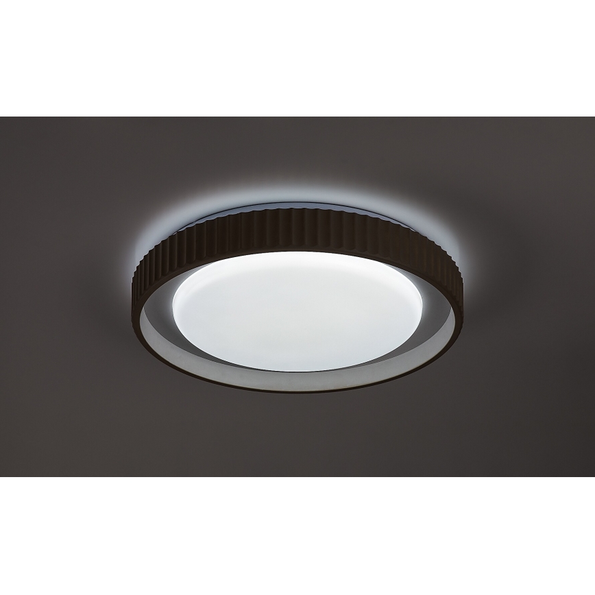 Rabalux - reguliuojamas LED lubinis šviestuvas LED/48W/230V 3000-6500K skersmuo 49,5 cm + nuotolinis valdymas
