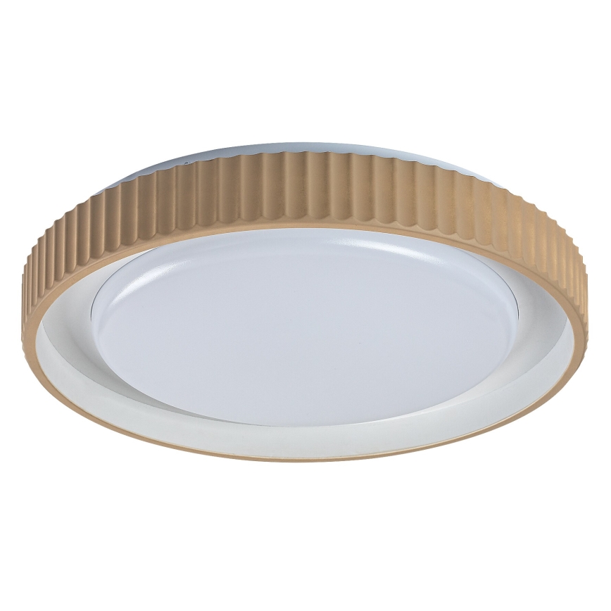 Rabalux - reguliuojamas LED lubinis šviestuvas LED/48W/230V 3000-6500K skersmuo 49,5 cm + nuotolinis valdymas