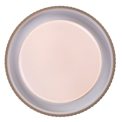 Rabalux - reguliuojamas LED lubinis šviestuvas LED/48W/230V 3000-6500K skersmuo 49,5 cm + nuotolinis valdymas