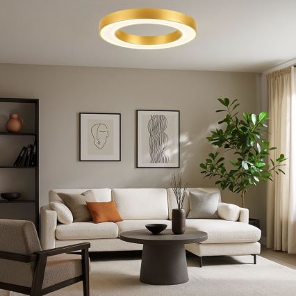 Rabalux – reguliuojamas LED lubų šviestuvas, 45 W, 230 V, 3000–6500 K, Ø 60 cm, auksinis, su nuotolinio valdymo pultu