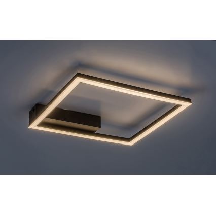Rabalux - LED lubinis šviestuvas LED/24W/230V 3000K