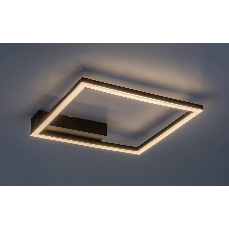 Rabalux - LED lubinis šviestuvas LED/24W/230V 3000K
