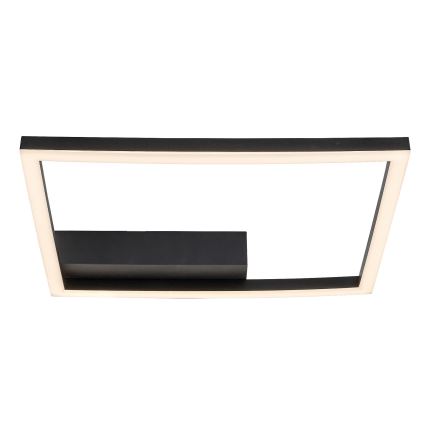 Rabalux - LED lubinis šviestuvas LED/24W/230V 3000K