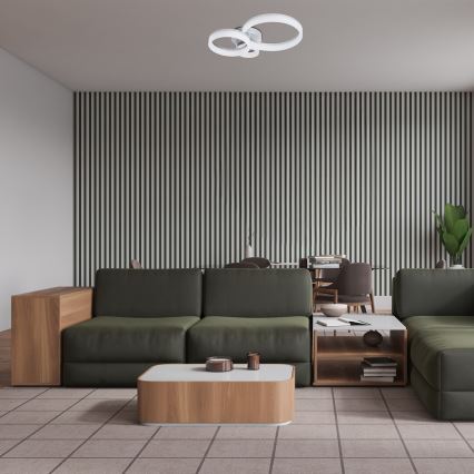 Rabalux - LED lubinis šviestuvas LED/24W/230V 3000/4000/6500K 38x51 cm matinis chromas