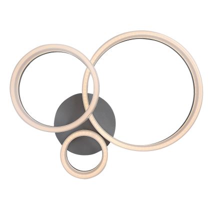 Rabalux - LED lubinis šviestuvas LED/24W/230V 3000/4000/6500K 38x51 cm matinis chromas