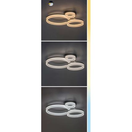 Rabalux - LED lubinis šviestuvas LED/24W/230V 3000/4000/6500K 38x51 cm matinis chromas