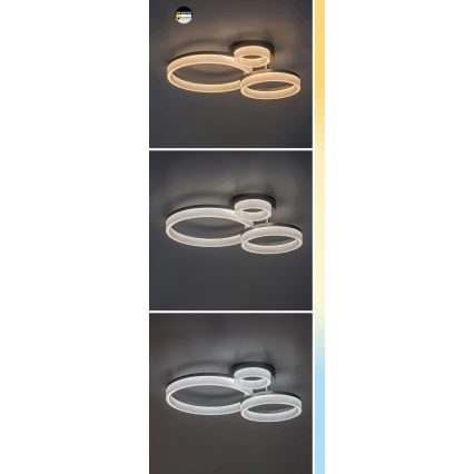 Rabalux - LED lubinis šviestuvas LED/24W/230V 3000/4000/6500K auksas