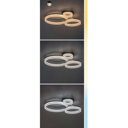 Rabalux - LED lubinis šviestuvas LED/24W/230V 3000/4000/6500K juoda