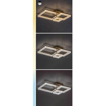 Rabalux - LED lubinis šviestuvas LED/22W/230V 3000/4000/6500K matinis chromas