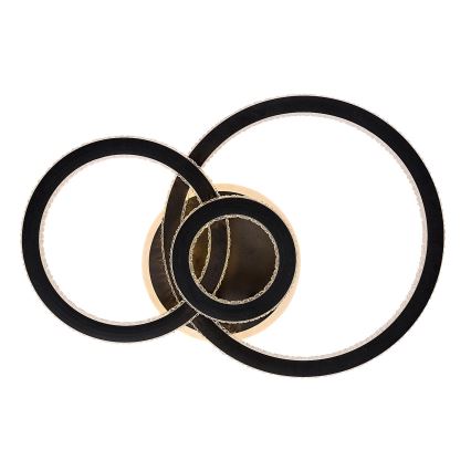 Rabalux - Dimeriuojamas LED lubinis šviestuvas LED/40W/230V 3000-6500K + nuotolinis valdymas 35x52 cm