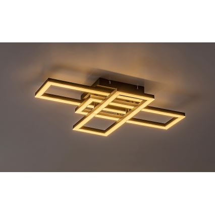 Rabalux - dimeriuojamas LED lubinis šviestuvas LED/40W/230V 3000-6500K + su nuotoliniu pulteliu 35x50 cm