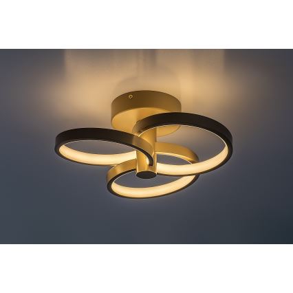 Rabalux - reguliuojamas LED lubų šviestuvas, 32 W, 230 V, 3000-6500 K, skersmuo 31 cm, smėlio spalvos, su nuotoliniu valdymu