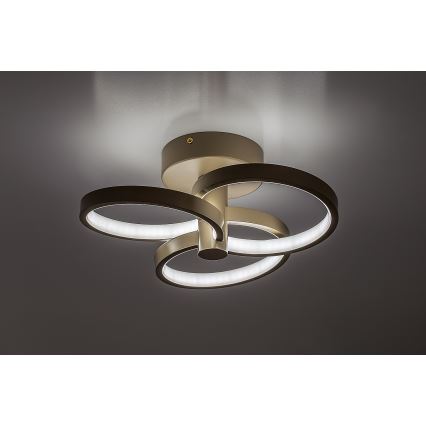 Rabalux - reguliuojamas LED lubų šviestuvas, 32 W, 230 V, 3000-6500 K, skersmuo 31 cm, smėlio spalvos, su nuotoliniu valdymu