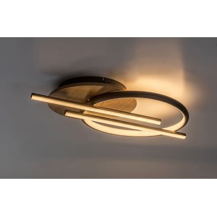 Rabalux - LED lubinis šviestuvas LED/40W/230V 3000/4000/6500K