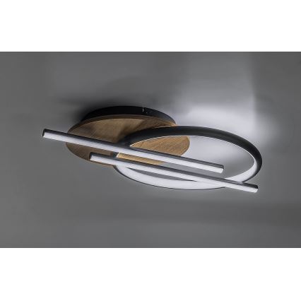 Rabalux - LED lubinis šviestuvas LED/40W/230V 3000/4000/6500K