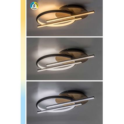 Rabalux - LED lubinis šviestuvas LED/40W/230V 3000/4000/6500K