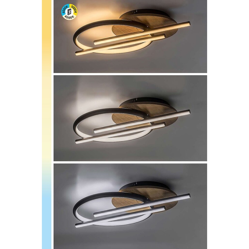 Rabalux - LED lubinis šviestuvas LED/40W/230V 3000/4000/6500K