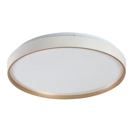 Rabalux - LED reguliuojamas lubinis šviestuvas LED/34W/230V 3000-6500K, skersmuo 38 cm, su nuotoliniu valdymu