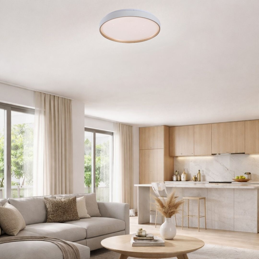 Rabalux - dimeriuojamas LED lubinis šviestuvas LED/60W/230V 3000-6500K skersmuo 58 cm + nuotolinio valdymo pultas