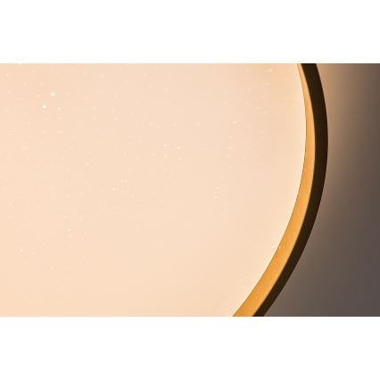 Rabalux - dimeriuojamas LED lubinis šviestuvas LED/60W/230V 3000-6500K skersmuo 58 cm + nuotolinio valdymo pultas