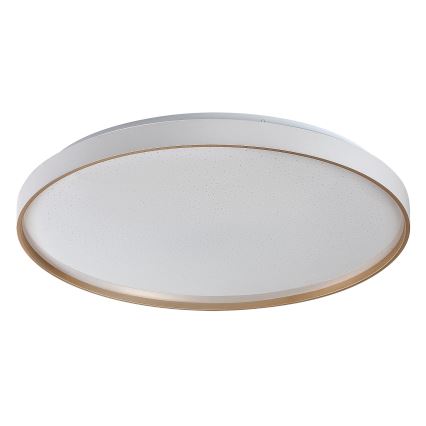 Rabalux - LED reguliuojamas lubinis šviestuvas LED/80W/230V 3000–6500K skersmuo 77 cm su nuotoliniu valdymu