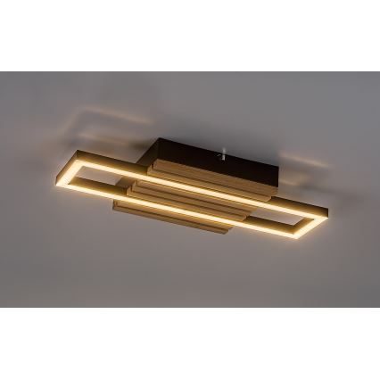 Rabalux - LED lubinis šviestuvas LED/12W/230V 3000/4500/6000K