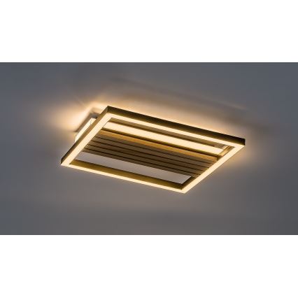 Rabalux - LED lubinis šviestuvas LED/26W/230V 3000/4500/6000K
