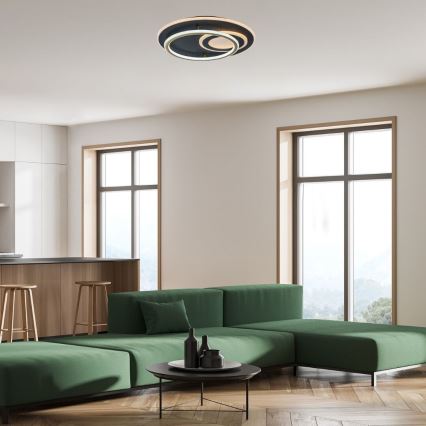 Rabalux - LED pritemdomas lubinis šviestuvas LED/60W/230V 3000-6000K skersmuo 50 cm + nuotolinis valdymas