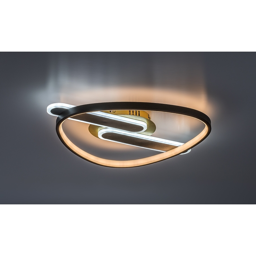 Rabalux - Dimeriuojamas lubinis LED šviestuvas LED/60W/230V 3000-6000K 53x45 cm + nuotolinis valdymas