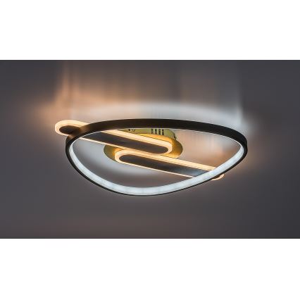 Rabalux - Dimeriuojamas lubinis LED šviestuvas LED/60W/230V 3000-6000K 53x45 cm + nuotolinis valdymas