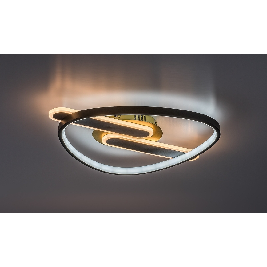 Rabalux - Dimeriuojamas lubinis LED šviestuvas LED/60W/230V 3000-6000K 53x45 cm + nuotolinis valdymas