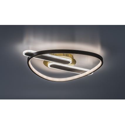 Rabalux - Dimeriuojamas lubinis LED šviestuvas LED/60W/230V 3000-6000K 53x45 cm + nuotolinis valdymas